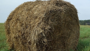 Можно ли на приусадебном участке складировать сено или солому, рассказали в МЧС