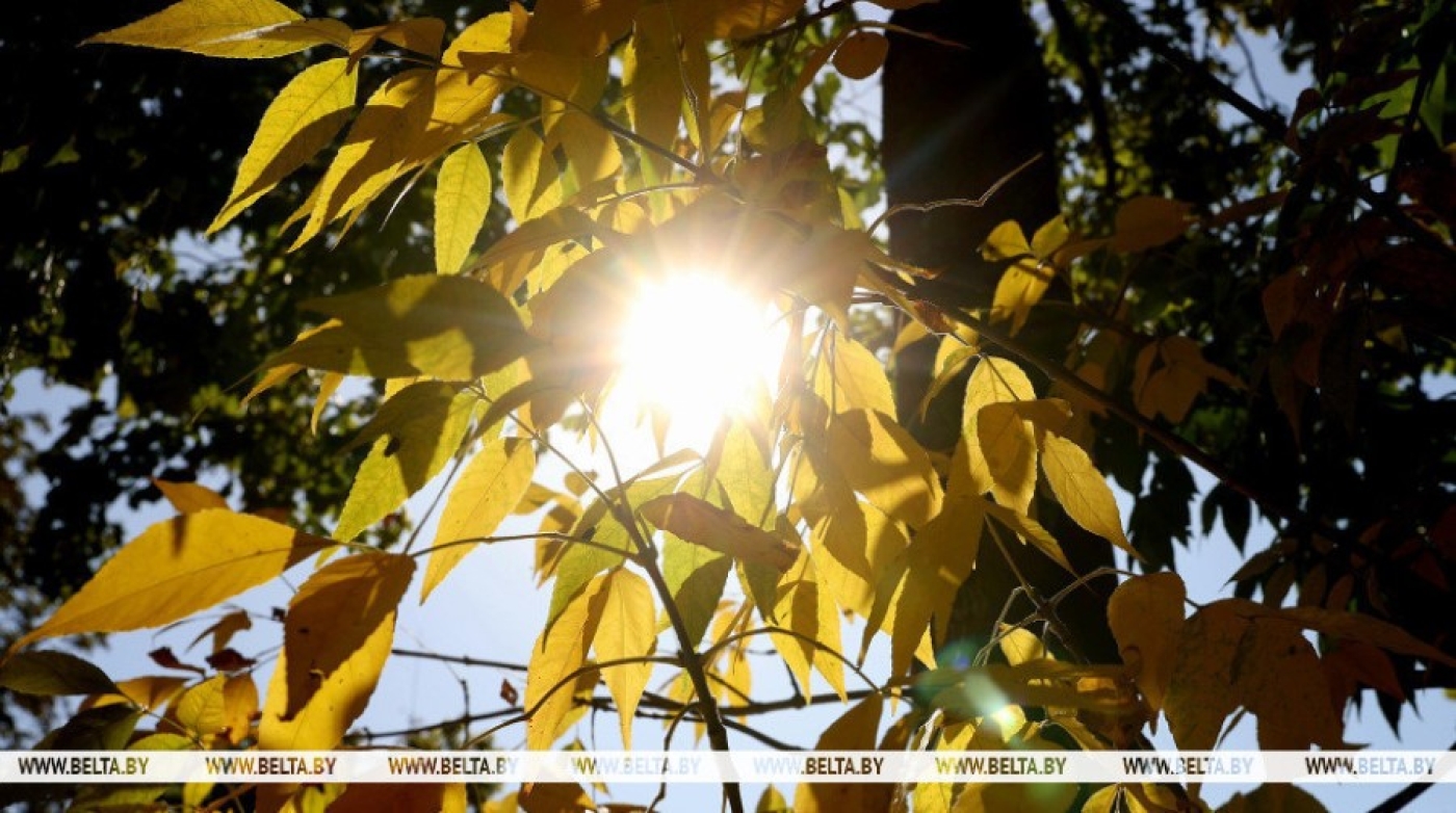 До +28°С и местами дожди ожидаются сегодня в Беларуси