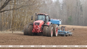 Ранние яровые зерновые и зернобобовые в Беларуси посеяны на 43,5% отведенных площадей