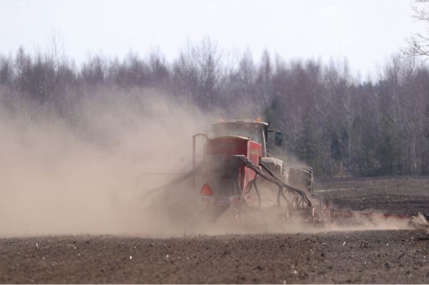 Больше картофеля и кукурузы на зерно. Минсельхозпрод рассказал о планах на посевную
