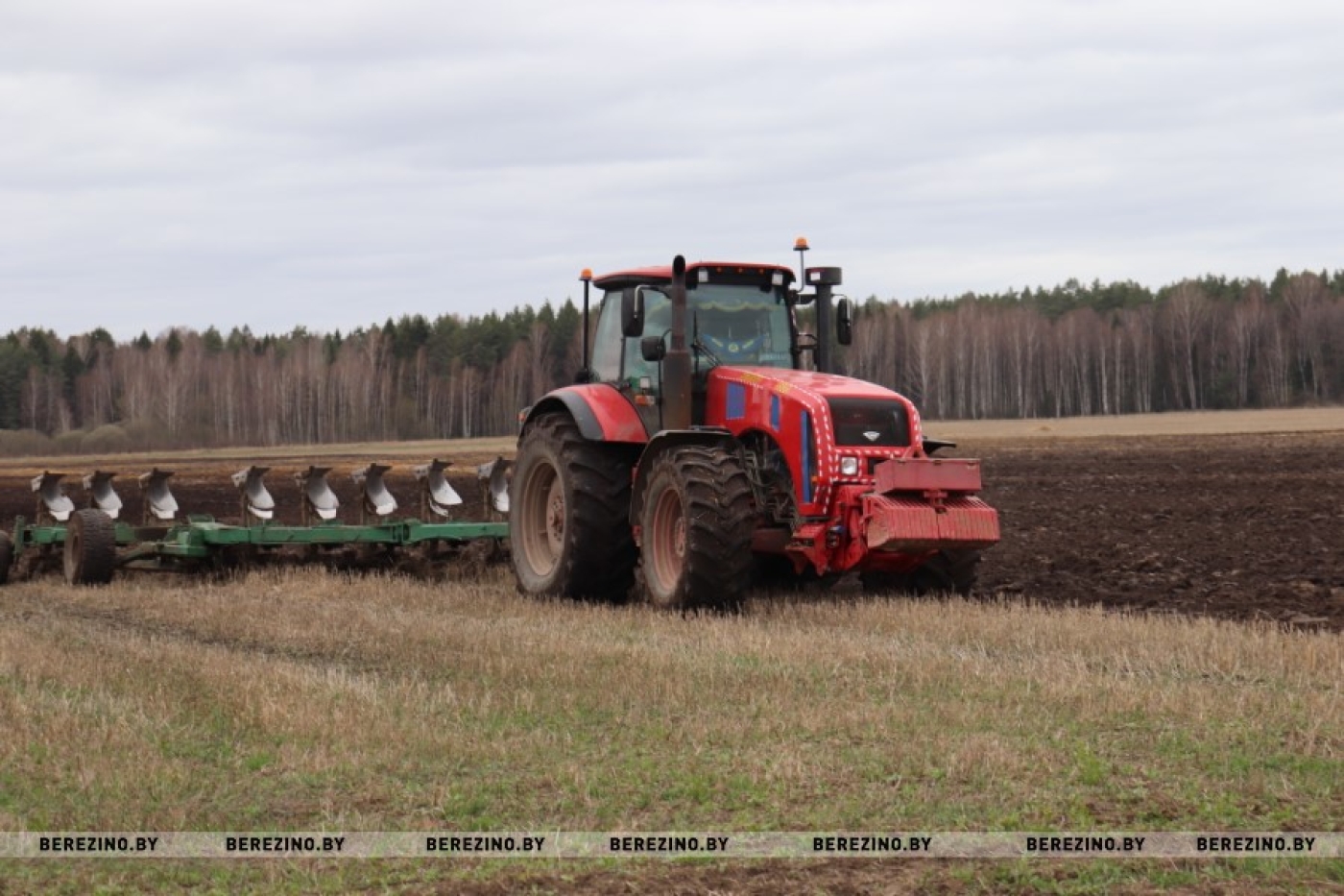 Пачалі сеяць кукурузу