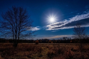 Лунный посевной календарь на апрель 2026 года: не упустите удачные дни