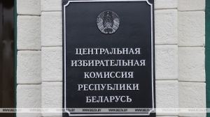 На сайте ЦИК к 30 декабря будет запущена работа сервиса по поиску участка для голосования