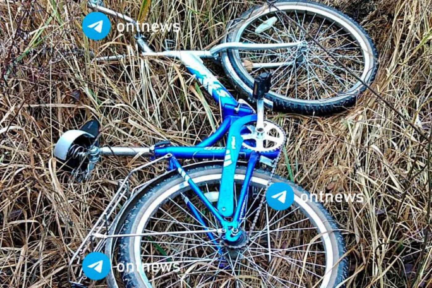 Обнаружен велосипед, предположительно принадлежавший пропавшему Максиму Зенькевичу