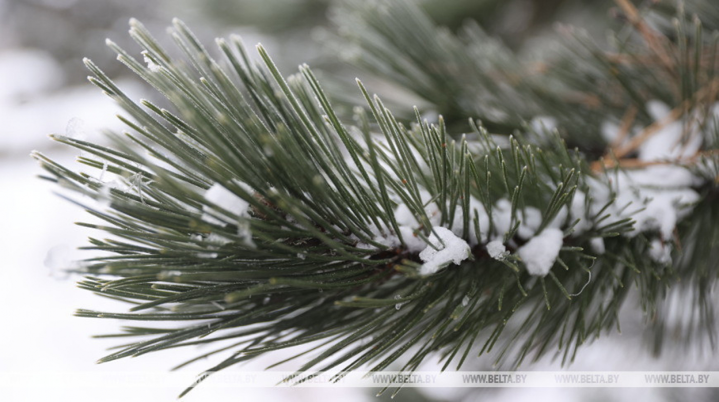 Оранжевый уровень опасности из-за резкого похолодания и гололедицы объявлен в Беларуси 6 января