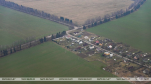 Увлажненная почва способствует прорастанию семян и дальнейшему развитию озимых культур