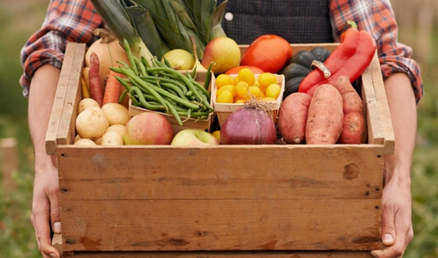 Как продавать урожай с приусадебного участка без нарушения законодательства