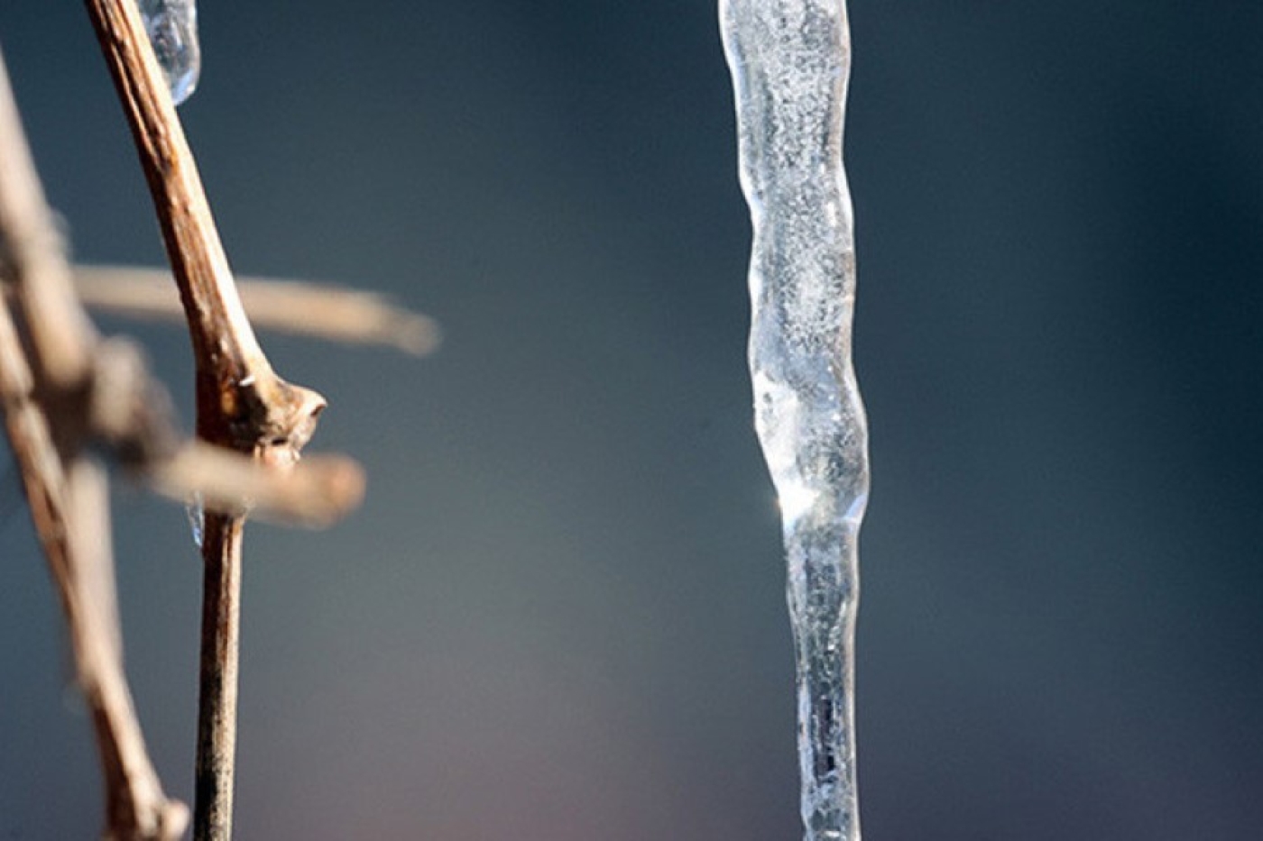В МЧС напомнили о факторах опасности при гололедице