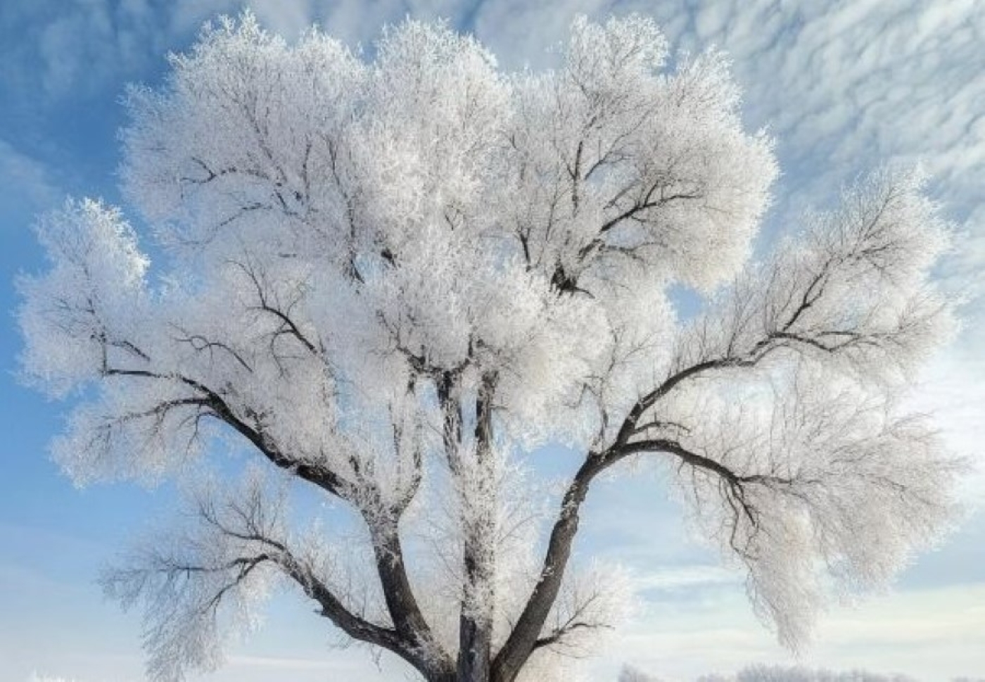 Народный календарь на 10 февраля 2025: что можно и нельзя делать, приметы и праздники