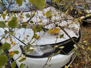 Напоминаем, в случае шквалистого усиления ветра: