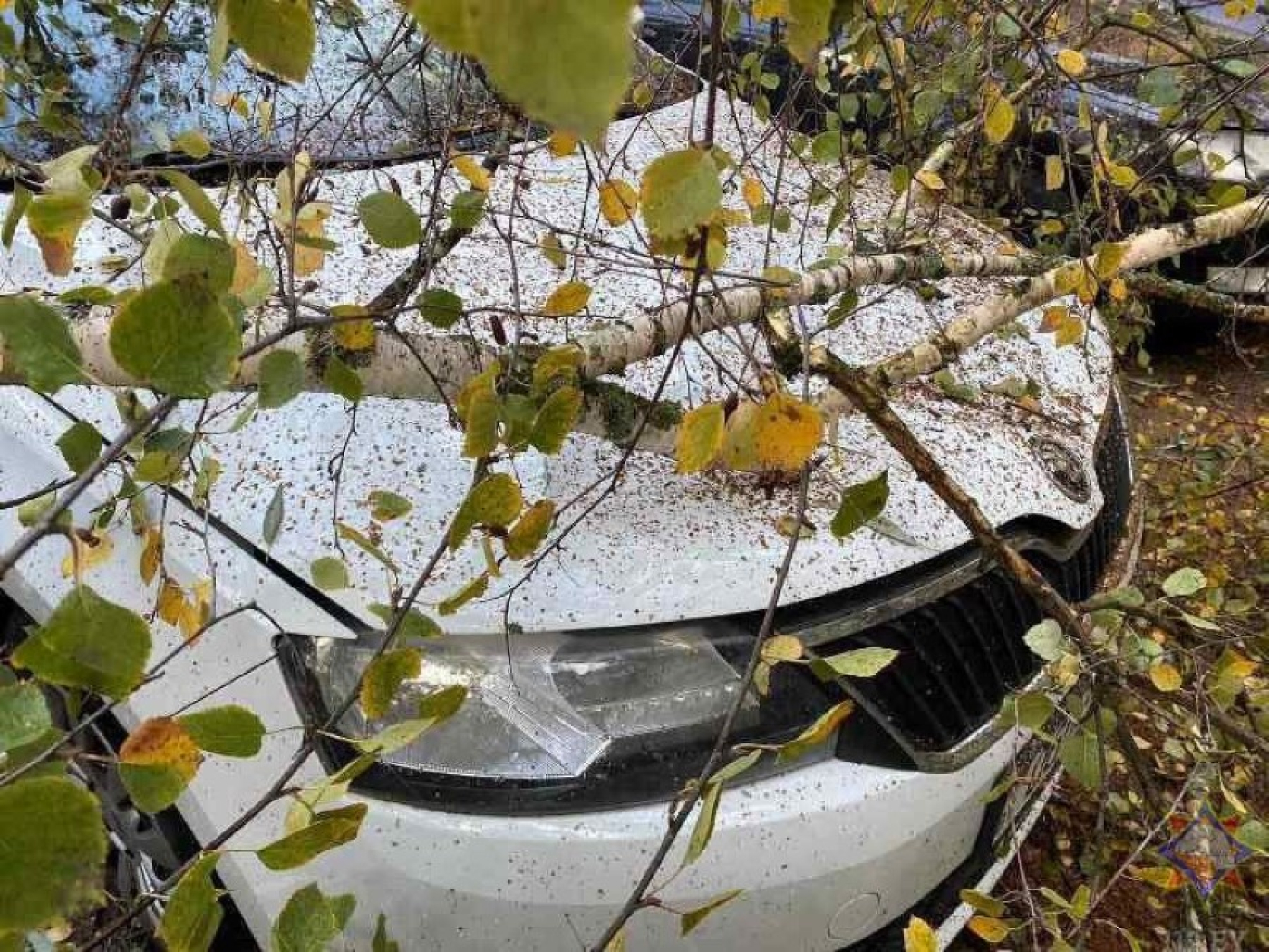 Напоминаем, в случае шквалистого усиления ветра: