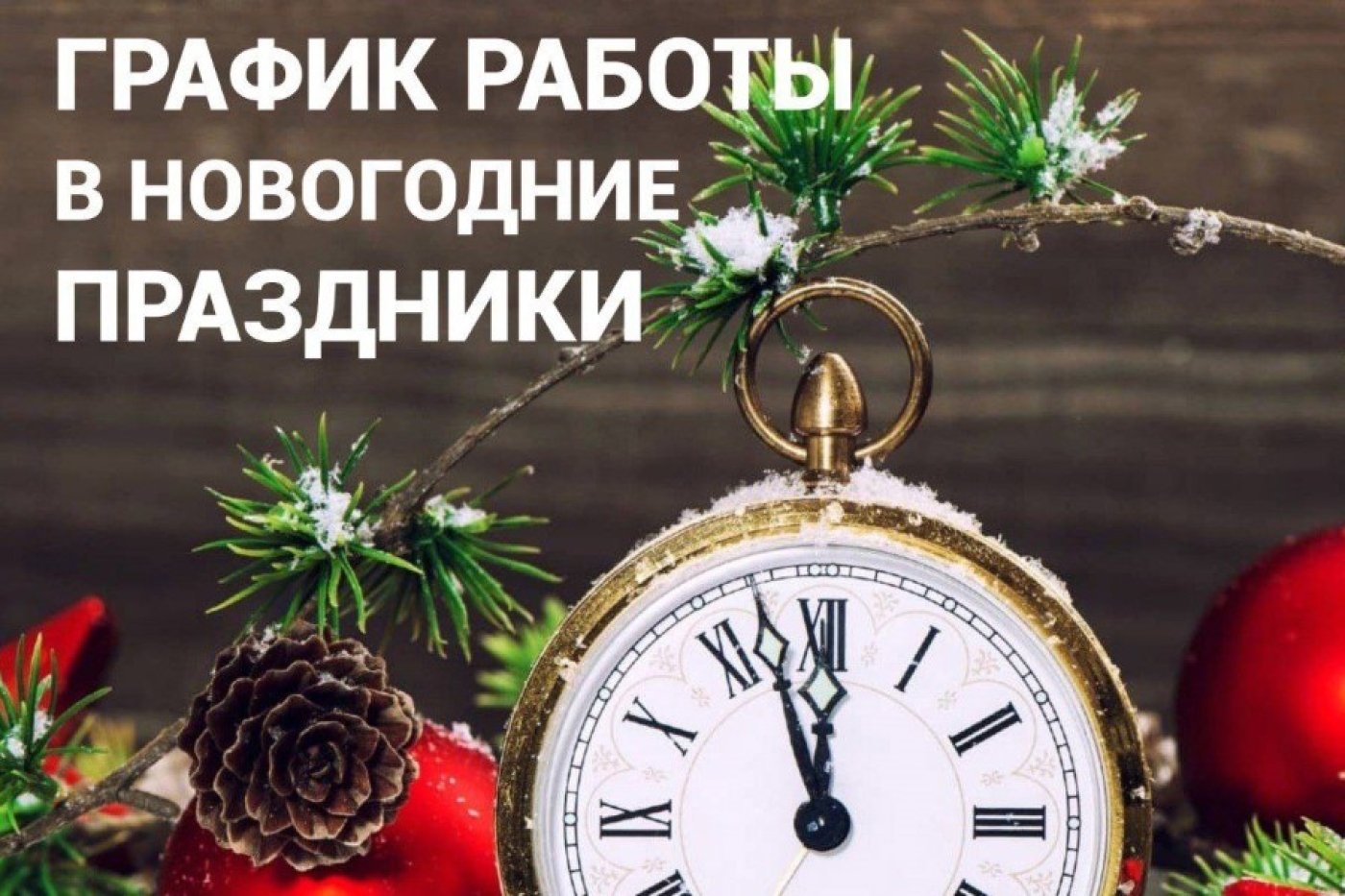График работы Березинской ЦРБ в выходные и праздничные дни в декабре-январе 2025-2026 гг.