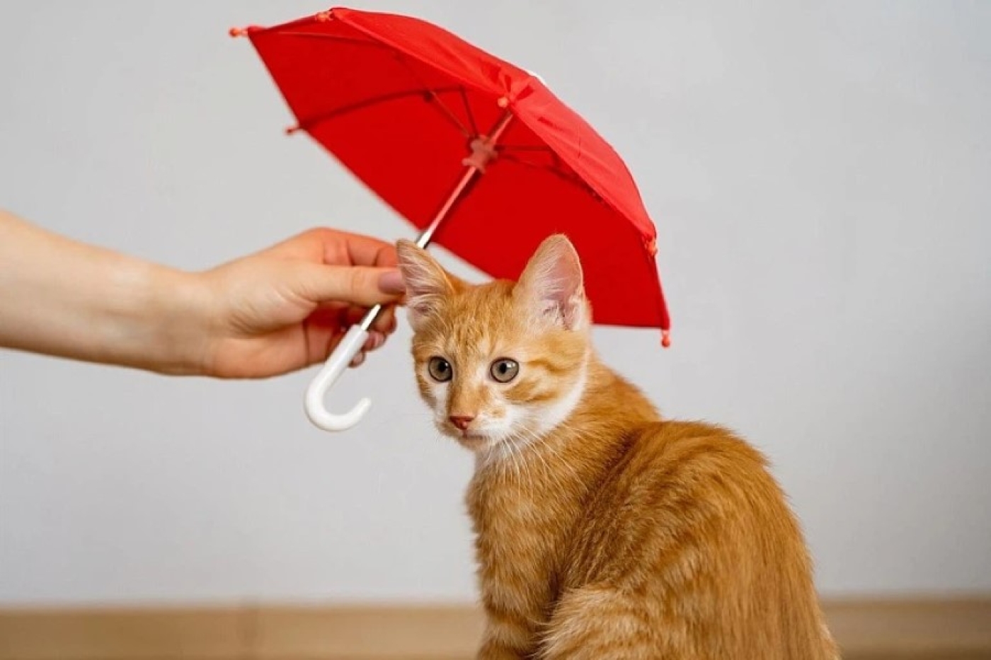 Рябов о погоде на неделю с 24 по 30 марта