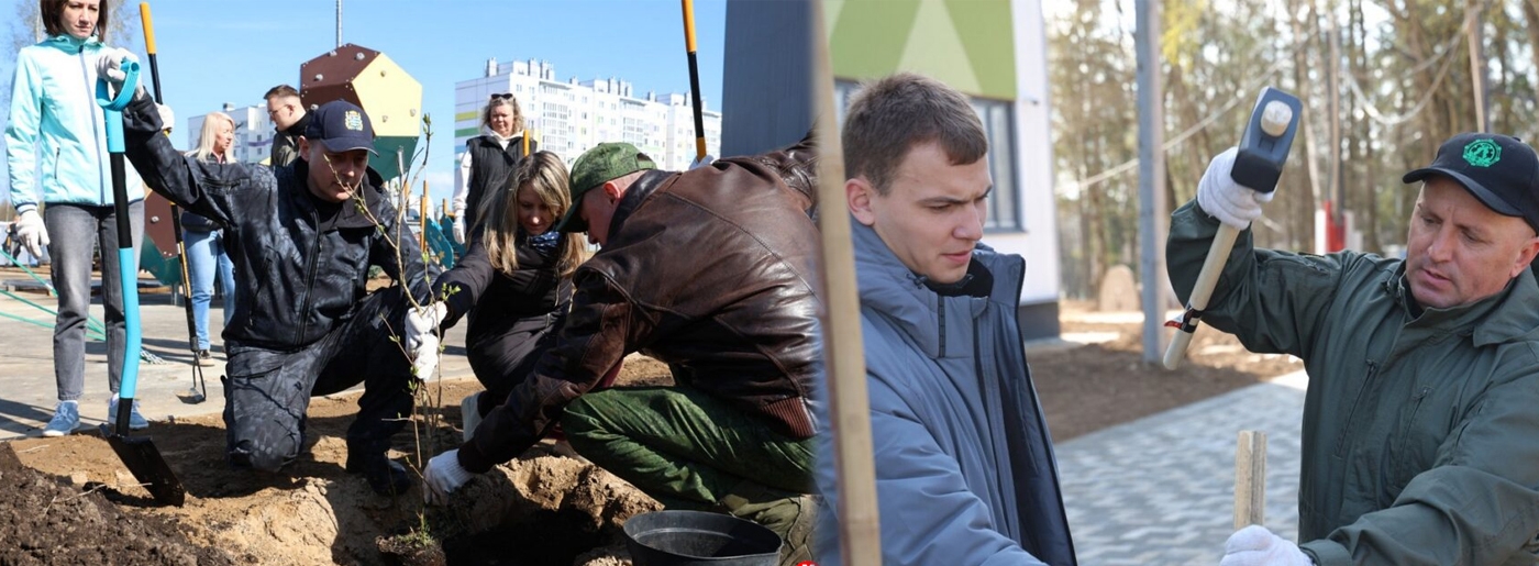 Голубые ели, туи и сирень: Кушнаренко на субботнике озеленил территорию новой школы в Прилуках