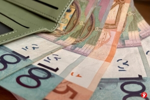 Сколько денег уходит на ребенка, питомцев и поддержку семьи? Заглядываем в кошельки белорусов