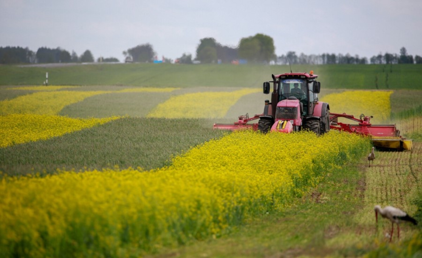 В Минской области скошено 69% трав первого укоса