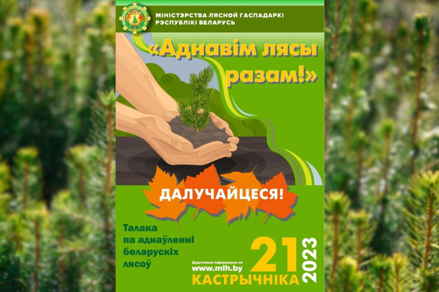 Запрашаем усіх бярэзінцаў далучыцца да акцыі "Адновім лясы разам!"!