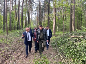 Продолжается благоустройство экотропы в лесном массиве около автовокзала