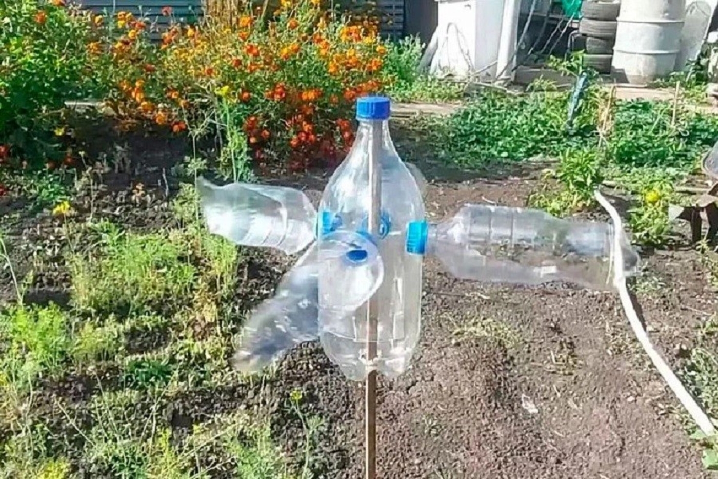 Пугало не нужно: делаем ветряк из бутылок