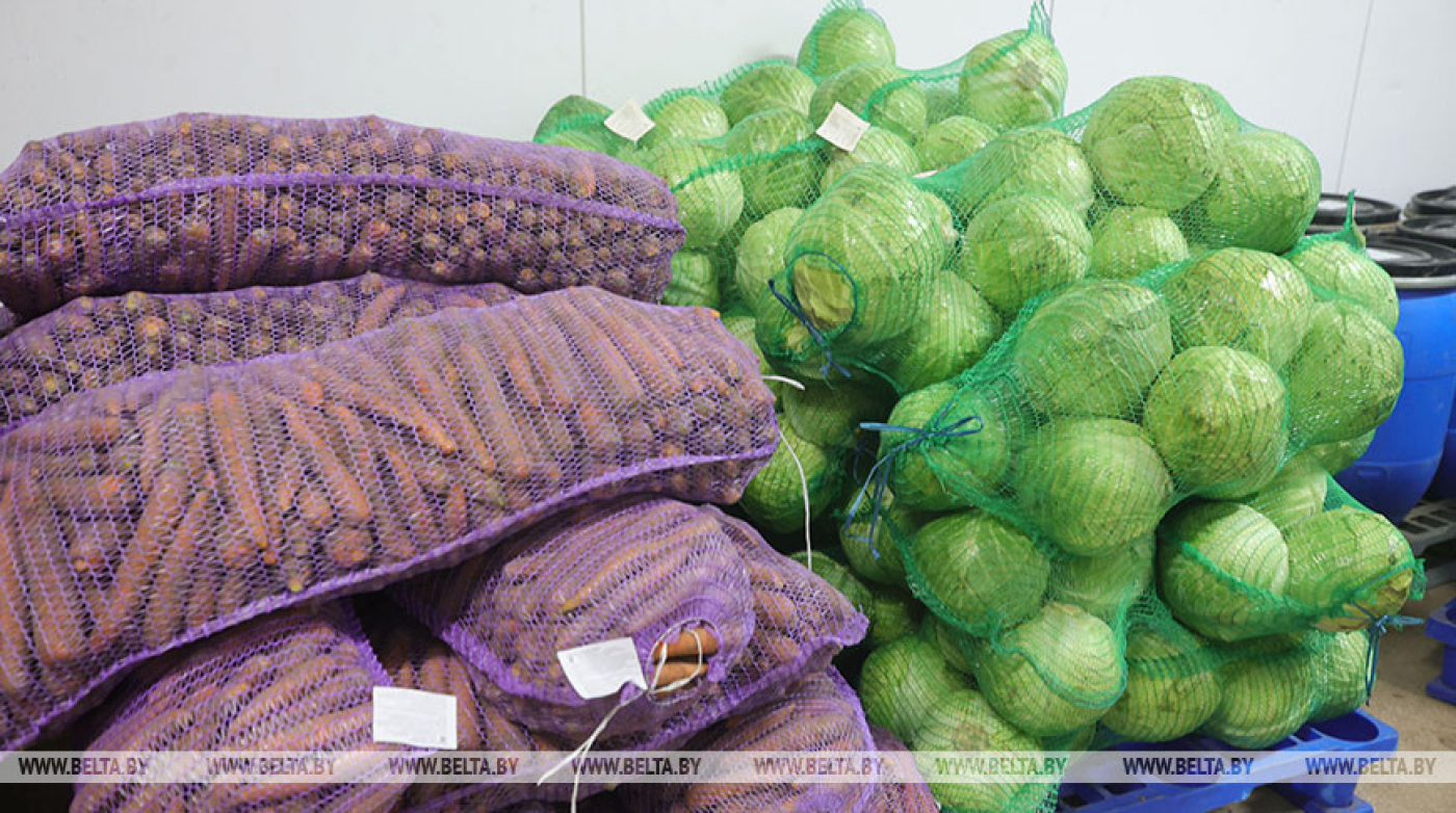 Наличие и условия хранения продукции в стабфондах проверят по всей стране
