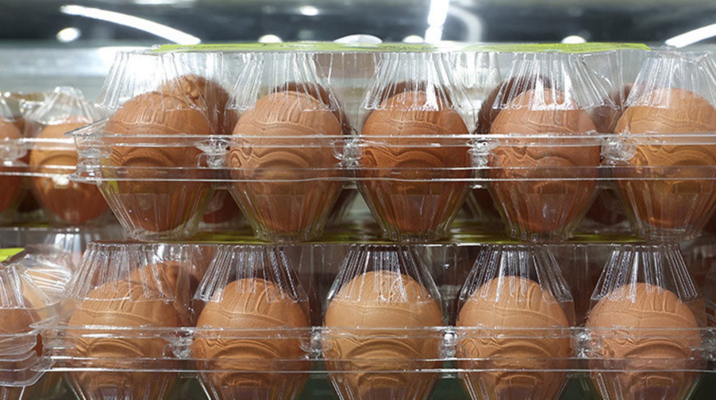 Минсельхозпрод: объемы производства яиц в Беларуси позволяют поставлять 25-30% на экспорт