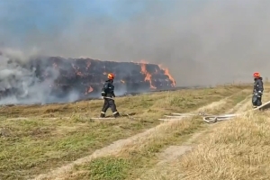 В Сморгонском районе в поле сгорело 450 тонн соломы