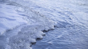 В Червенском районе в реке Свислочь утонул пенсионер