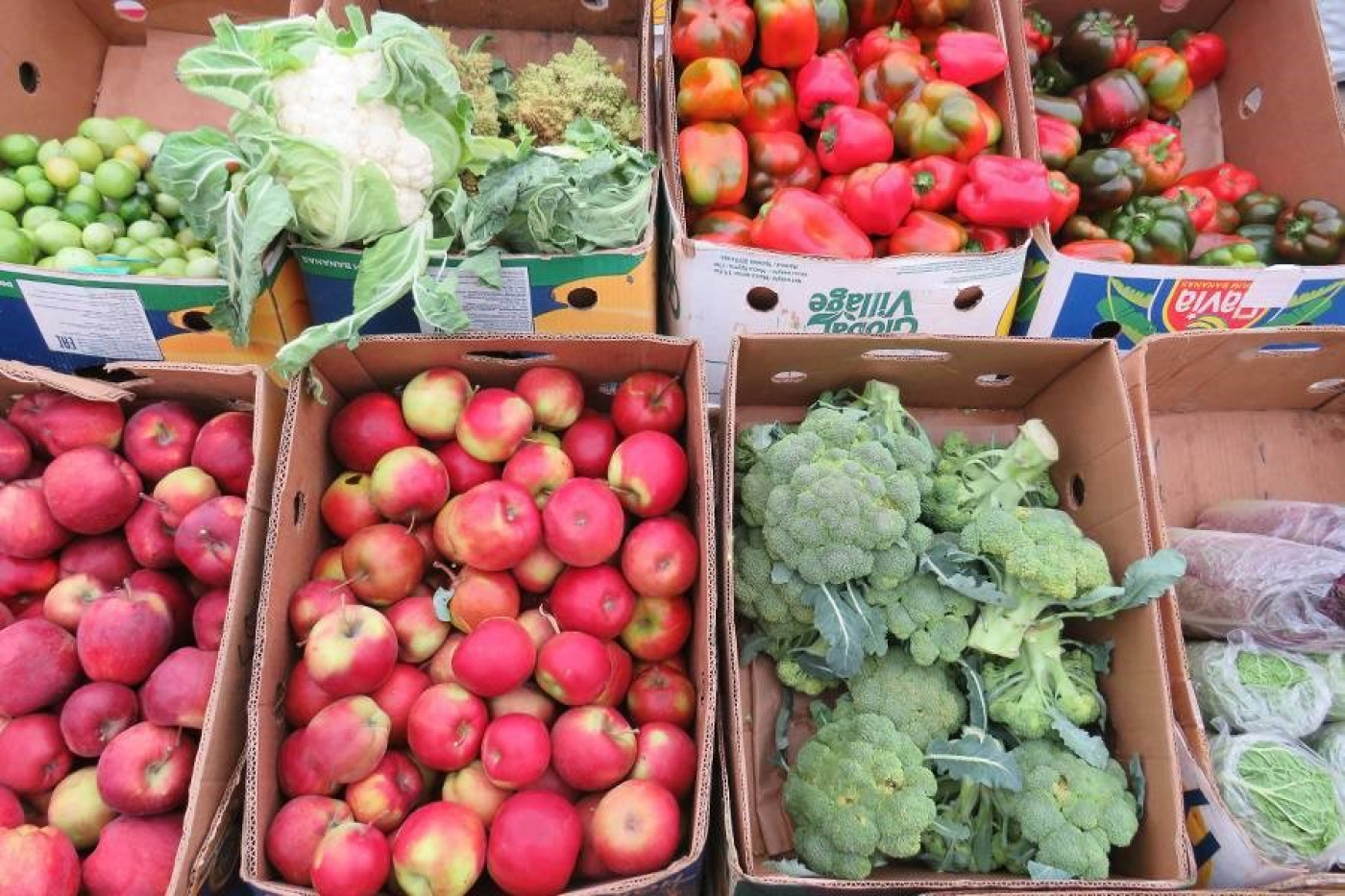 В сентябре — ноябре в Минской области пройдут традиционные осенние региональные ярмарки