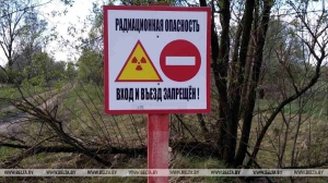 Площадь загрязнения цезием-137 в Беларуси с 1986 года уменьшилась почти вдвое