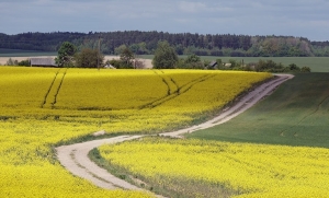 Рябов рассказал о погоде в последнюю неделю весны. Будет ли тепло?