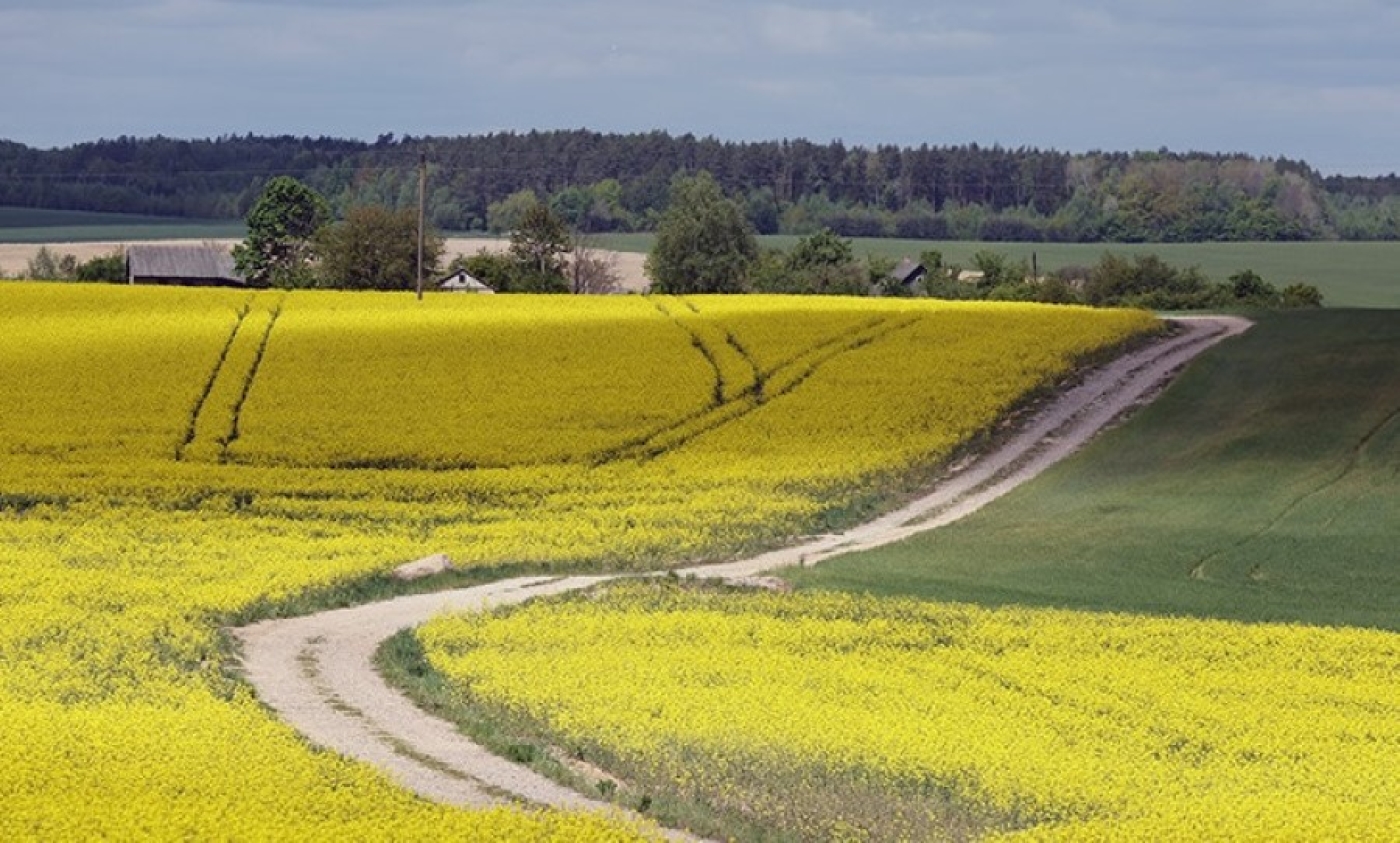 Рябов рассказал о погоде в последнюю неделю весны. Будет ли тепло?