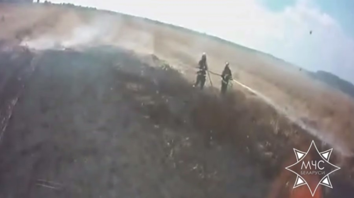 В Витебском районе работники МЧС спасли 115 га пшеницы