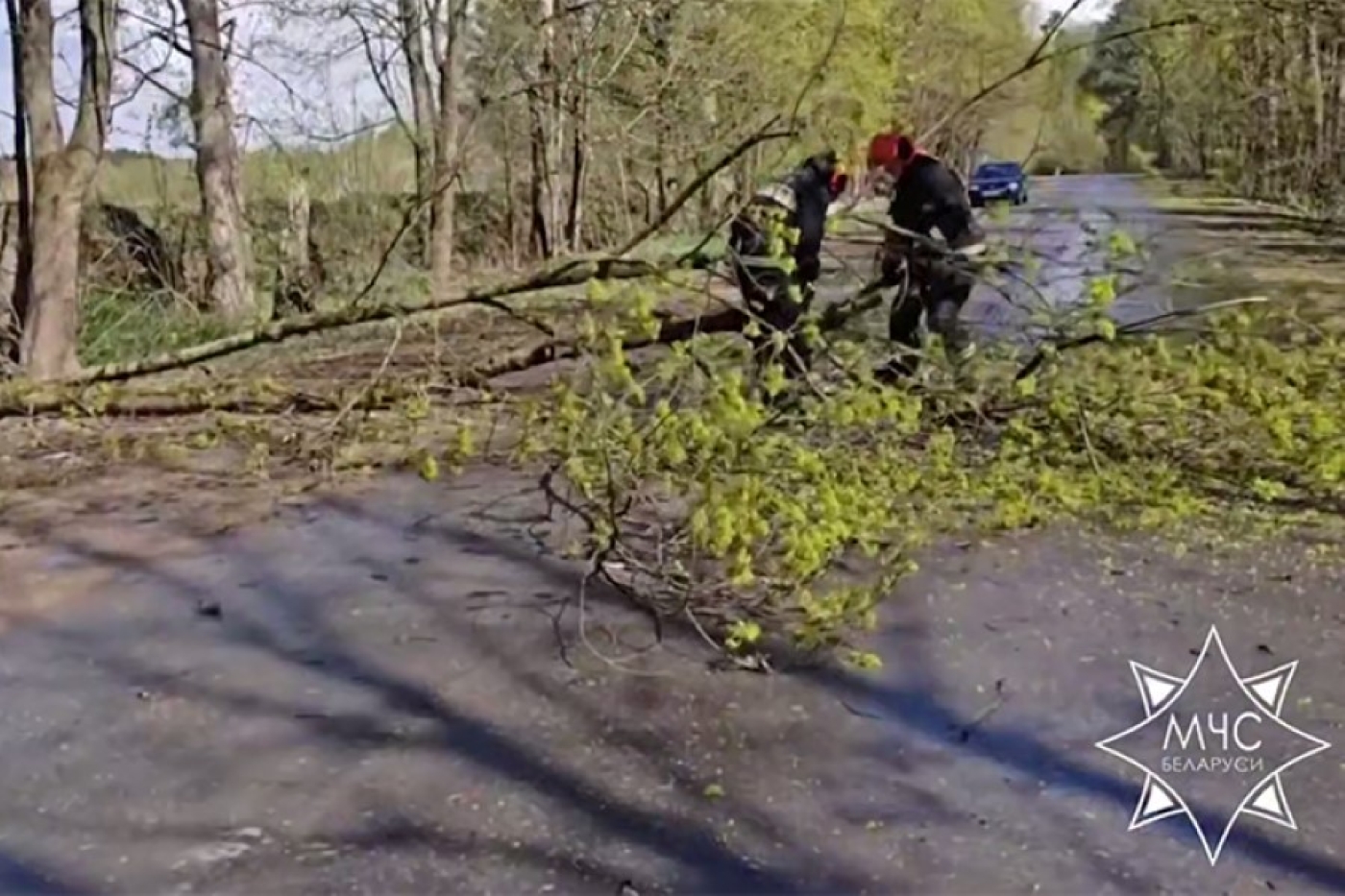 Спасатели ликвидировали последствия сильного ветра в регионах Беларуси