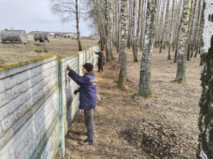 Наводят порядок на своей территории работники ПМС