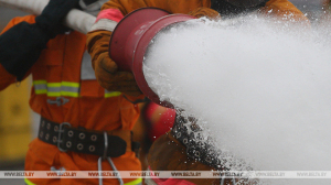 Более 3 тонн сена сгорело в Жлобинском районе