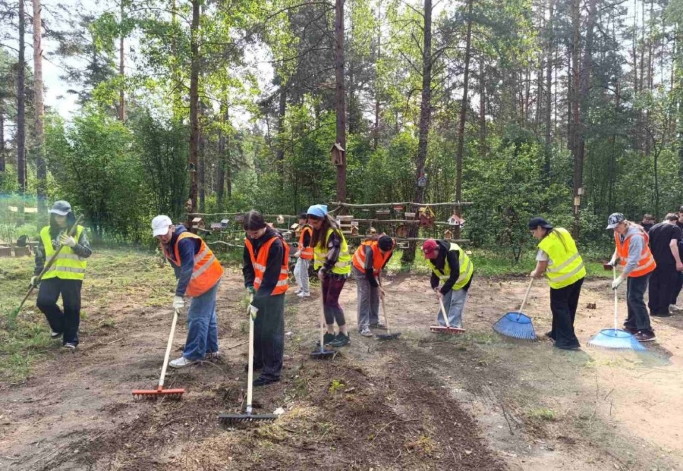 Экологическая тропа преображается