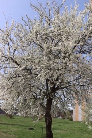 Маленький шедеврик