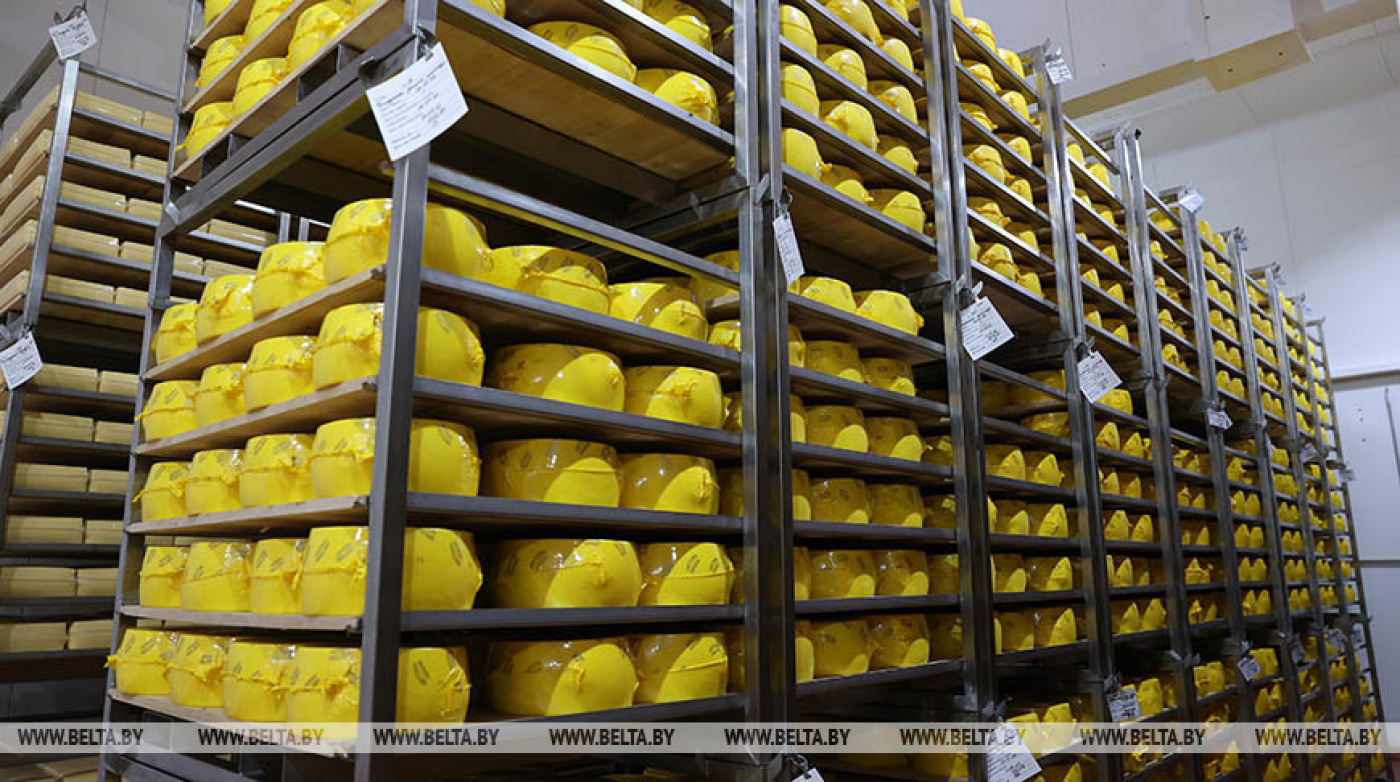 "Очень вкусно. Очень!" Лукашенко ознакомился с производством сыров в Поставах