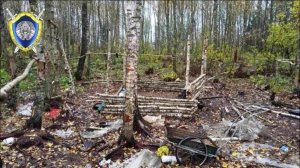 Два школьника получили серьезные травмы при эксперименте с порохом от петард в Шкловском районе