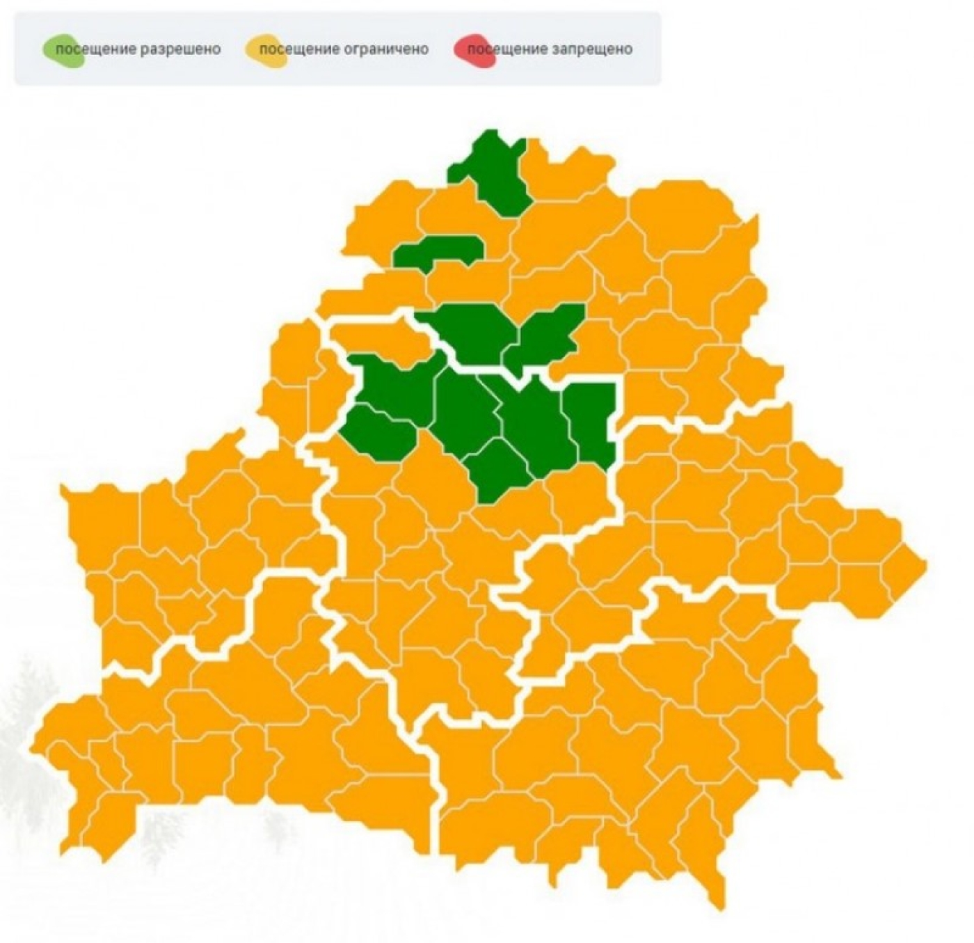 В Беларуси в некоторых районах сняли ограничения на посещение лесов
