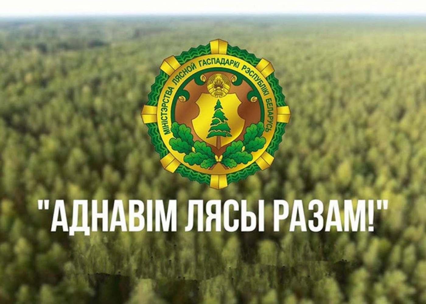 Акция «Дай лесу новае жыццё!» стартует в Беларуси