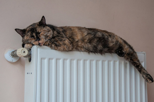 Помните о правилах электробезопасности