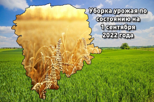 Уборка урожая по состоянию на 1 сентября 2022 года в Березинском районе