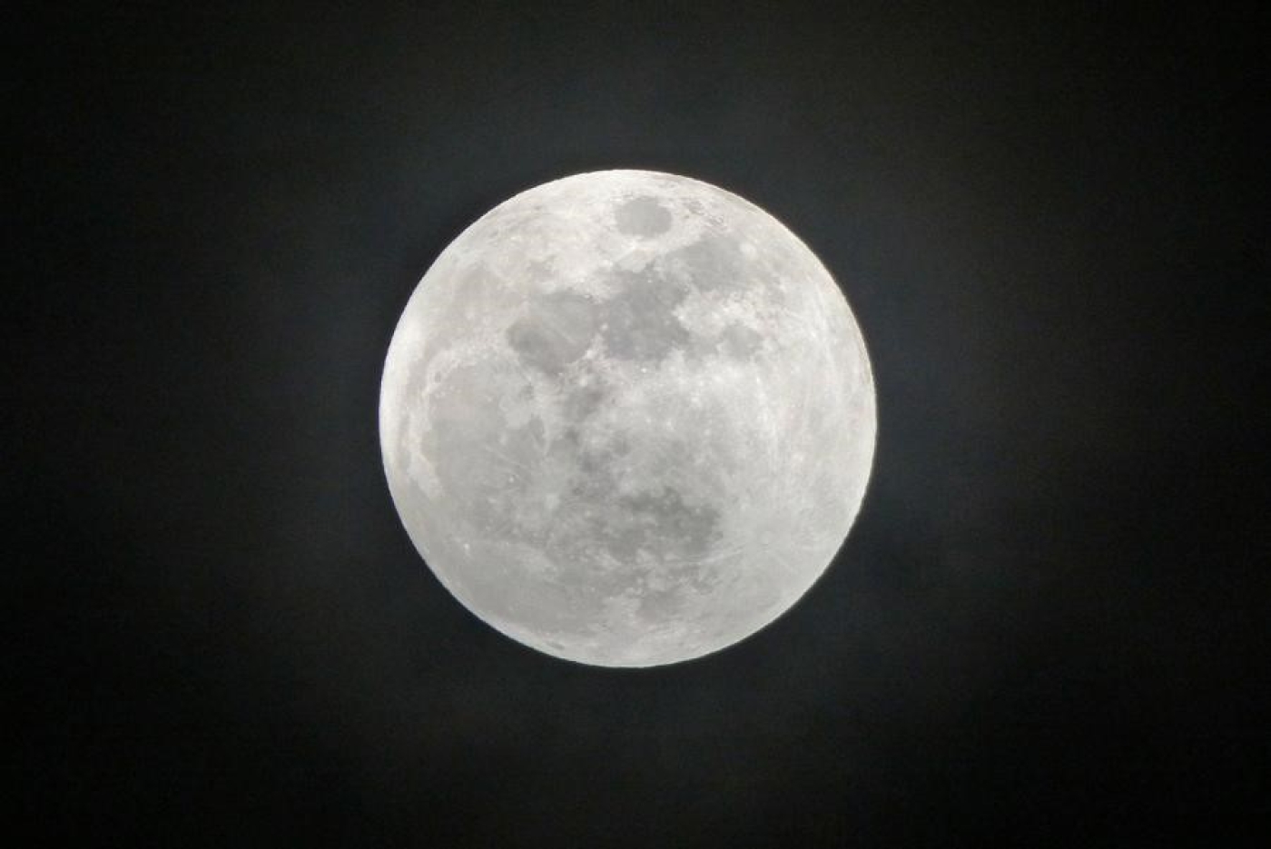 Лунный календарь для садоводов и огородников с 21 по 23 апреля 2026 года