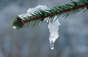 Погода в Беларуси 13 февраля: мокрый снег, гололедица и от -4 °С до +5 °С