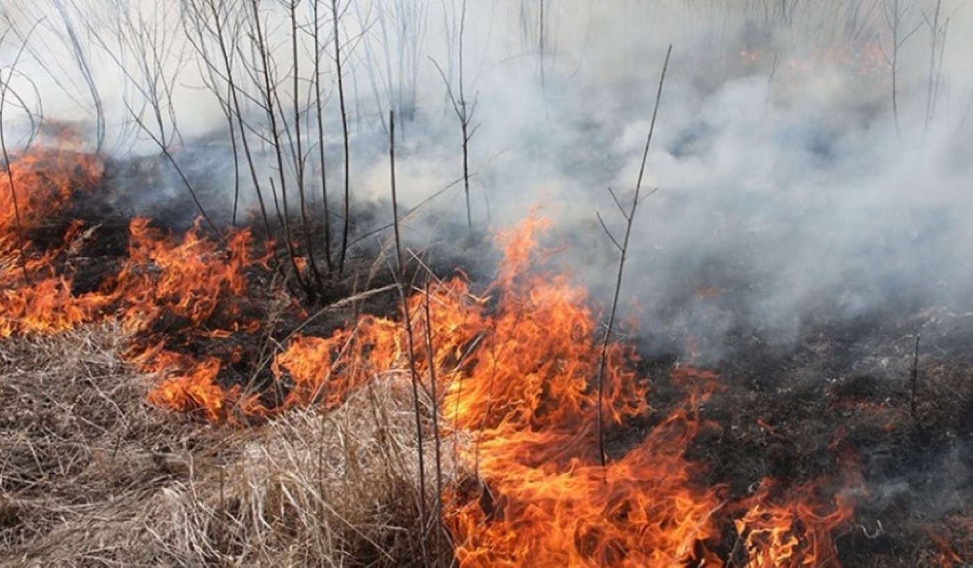 Спасатели предупреждают: из-за сжигания сухой травы горят дома и постройки