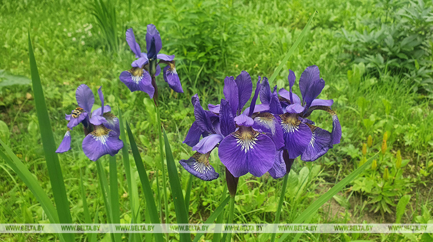 Жара отступит, придут дожди. Синоптики о погоде на эту неделю