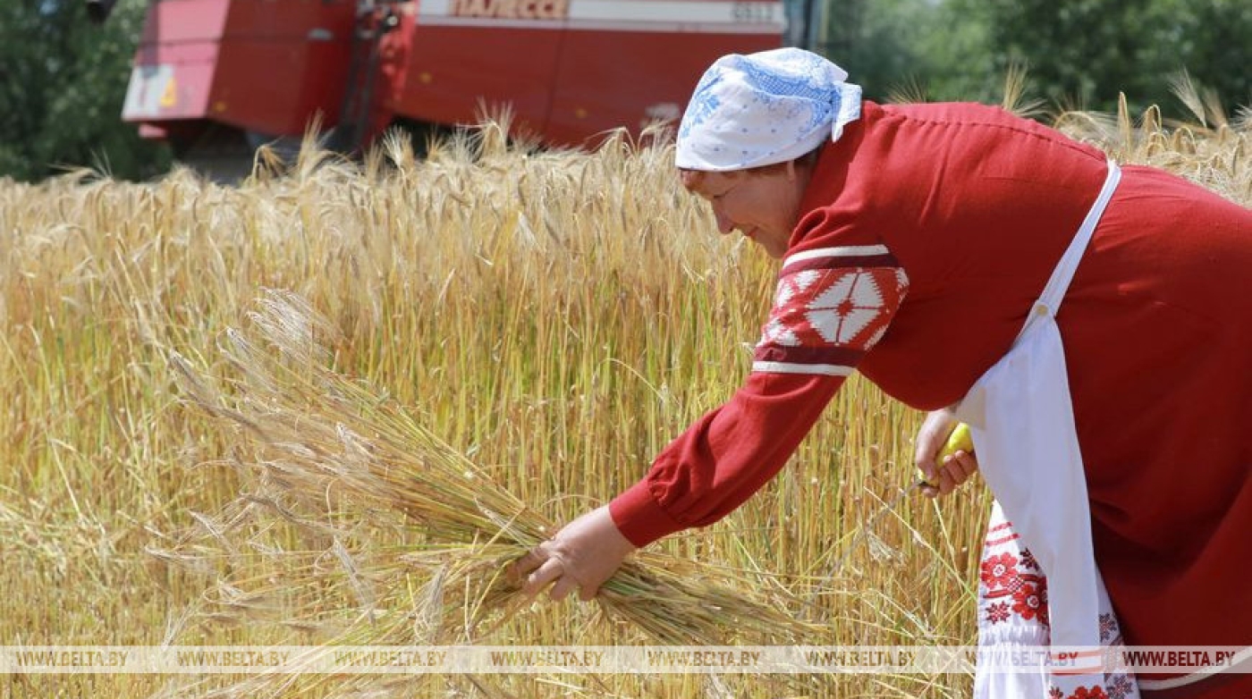 От души и по традиции. Областные "Зажинки" провели в Мозырском районе на щедрый урожай