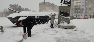 Акция "Уберем снег вместе"