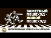 На Березинщине с 22 ноября стартует акция «Не будь невидимкой - засветись в темноте!»